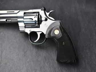 Colt Python | Altamont Company